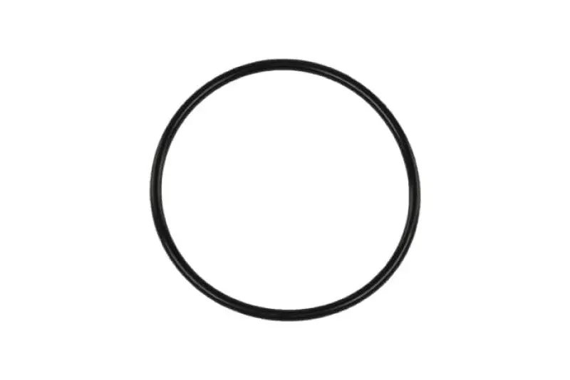 Turbosmart BOV Race Port Flange O-Ring Seal