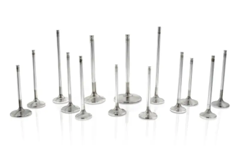 Ferrea Ford 5.0 1.485in Intake Valves Set 16 Super-Flo STD Triple Groove Comp Plus