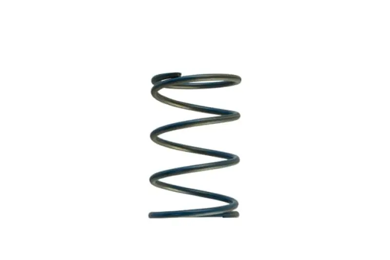 Turbosmart Gen-V WG45/50 14psi Blue Outer Spring Wastegate Kit