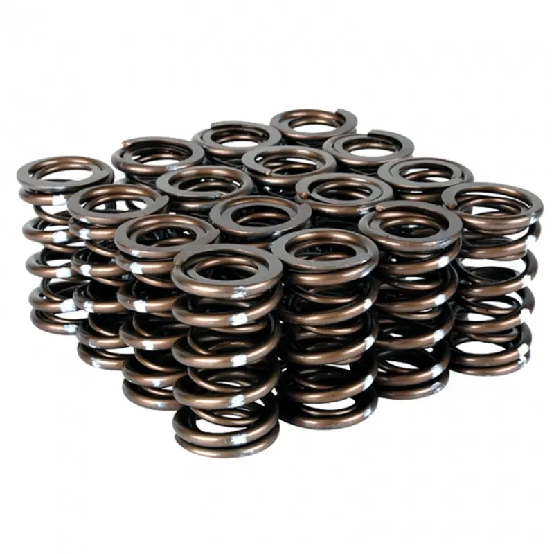 Skunk2 Pro Series Honda Acura B-Series VTEC XP Dual Valve Spring Set High Performance Skunk2 Racing