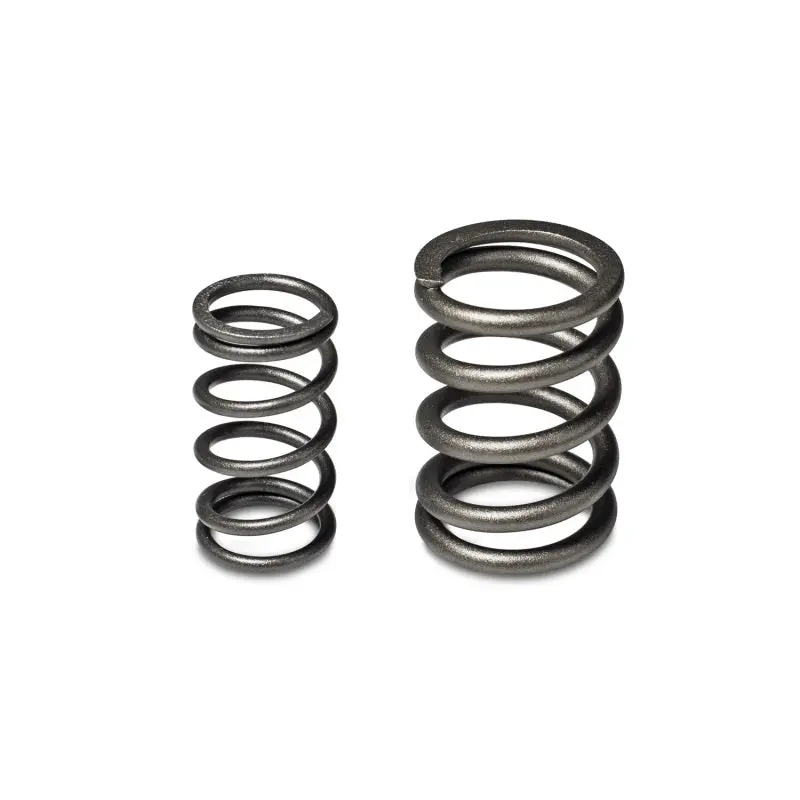 Skunk2 Tuner Series Alpha Valve Spring Set Dual Springs Honda Acura B16A B17A B18C Skunk2 Racing