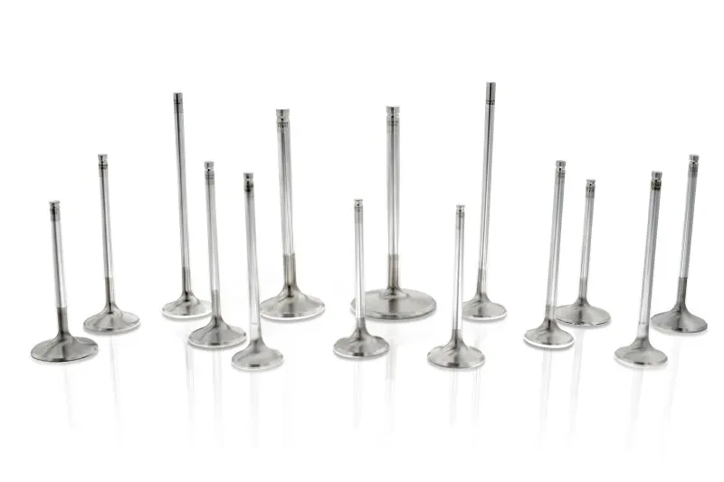 Ferrea Chevy SB 2.08in 11/32in 5.01in 12 Deg S-Flo +.100 Competition Plus Intake Valve Set 8 High-Performance Engines