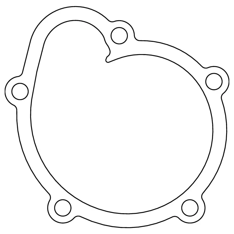 Cometic Nissan E13 E15 E16 0.031in Fiber Water Pump Gasket Cometic Gasket