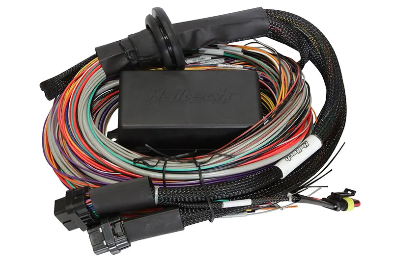 Haltech Elite 1500 8ft Premium Universal Wire- Harness Enhanced Features